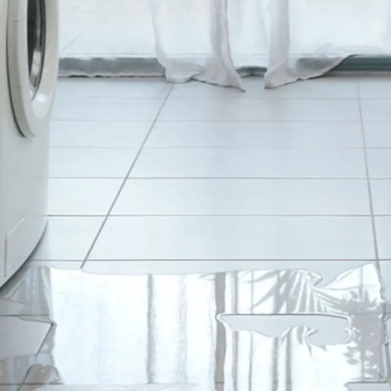Appliance Leak Cleanup in Cottage Grove, OR